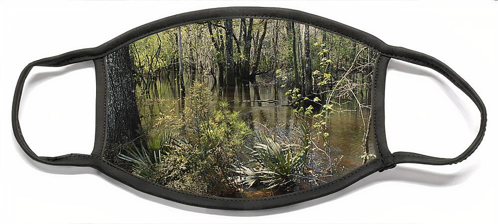 Nature Face Mask featuring the photograph Ohoopee River, Georgia by William H. Mullins