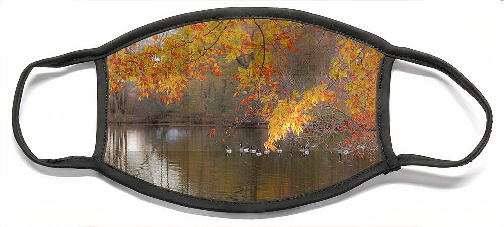 Pond Face Mask featuring the photograph Peavefull Pond Reflections by Dale Powell
