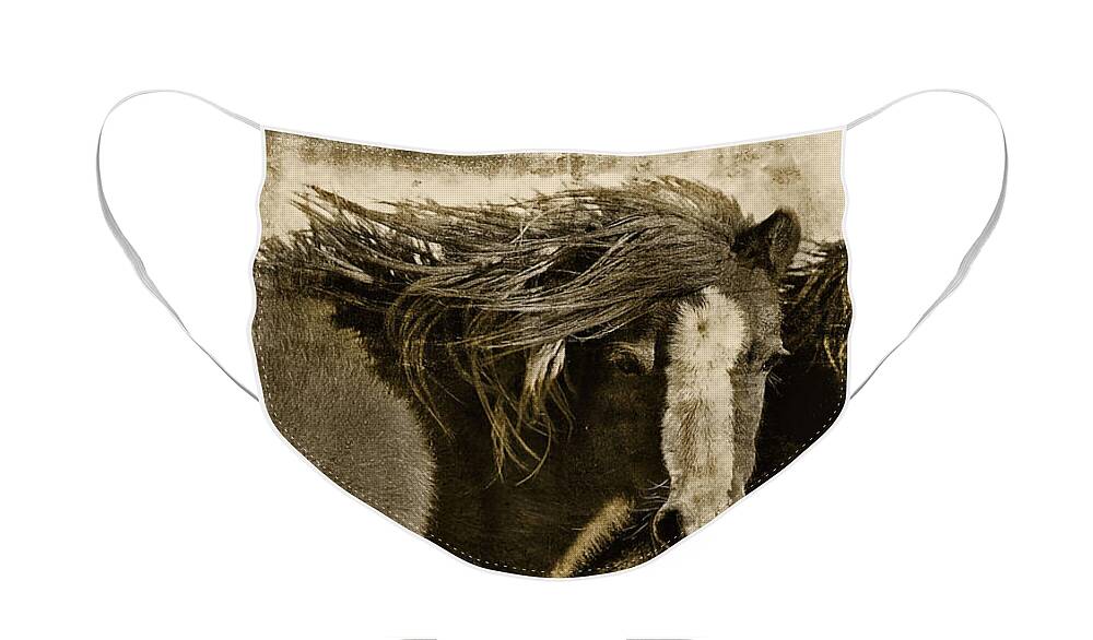 Pony Face Mask featuring the photograph Winds of Time by Amanda Smith