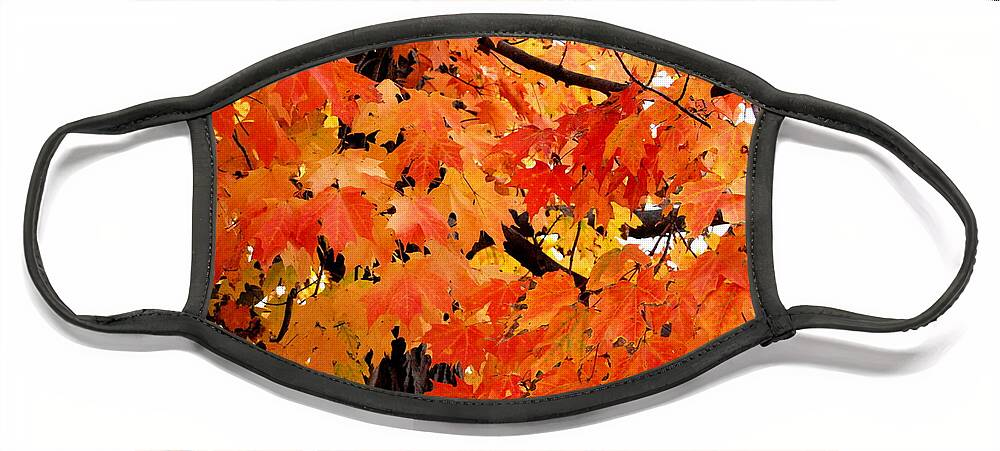 Maple Tree Face Mask featuring the photograph Orange And Reds And Some Yellow Too by Eunice Miller