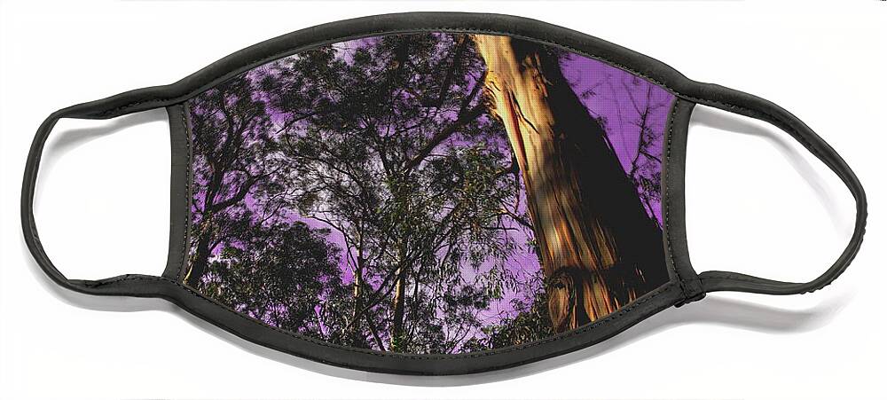 Trees Face Mask featuring the photograph Orbital Flyby by Derek Dean