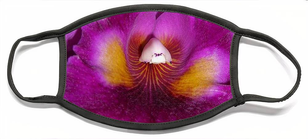 Orchid Face Mask featuring the photograph Orchid Flames by Michele Penn