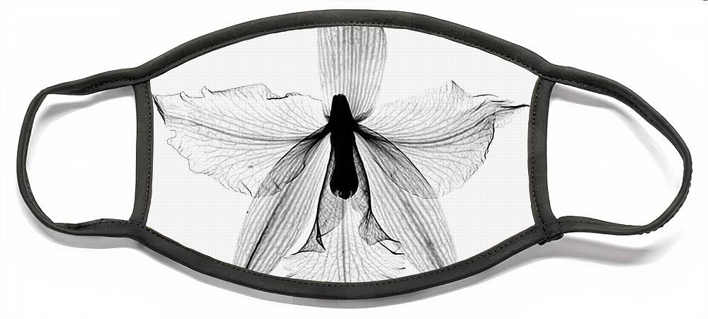 Nature Face Mask featuring the photograph Orchid Flower X-ray by Bert Myers