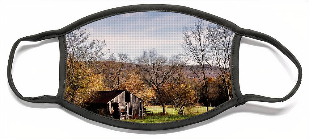 buffalo National River Face Mask featuring the photograph Orphea Old House by Lana Trussell