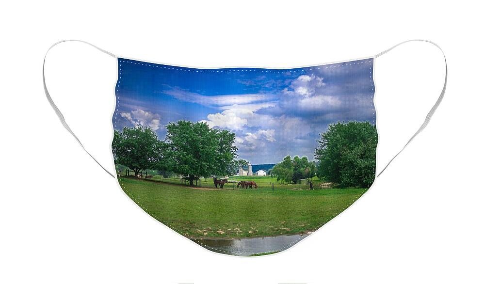 Farm Face Mask featuring the photograph Out to Pasture by Joseph Desiderio