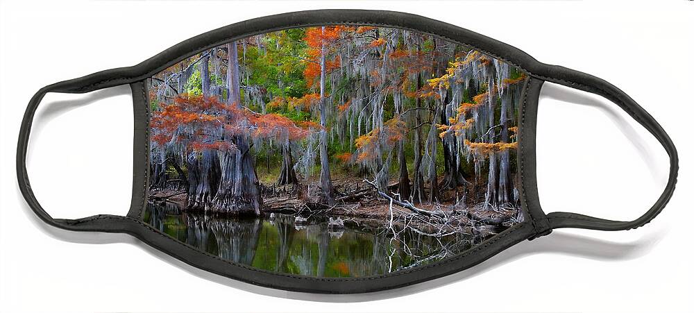 Autumn Face Mask featuring the photograph Painted Bayou by Lana Trussell
