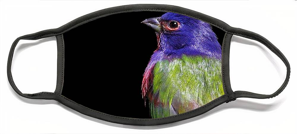 Painted Bunting Face Mask featuring the photograph Painted Bunting by Meg Rousher