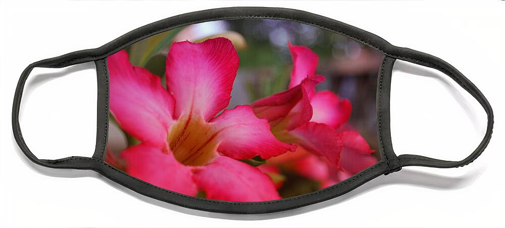Flowers Face Mask featuring the photograph Tropical Paradise Garden by Miguel Winterpacht