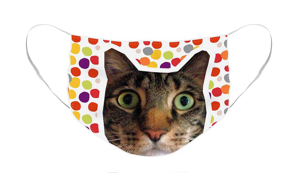 Cat Face Mask featuring the photograph Party Animal - Smaller Cat with Confetti by Linda Woods