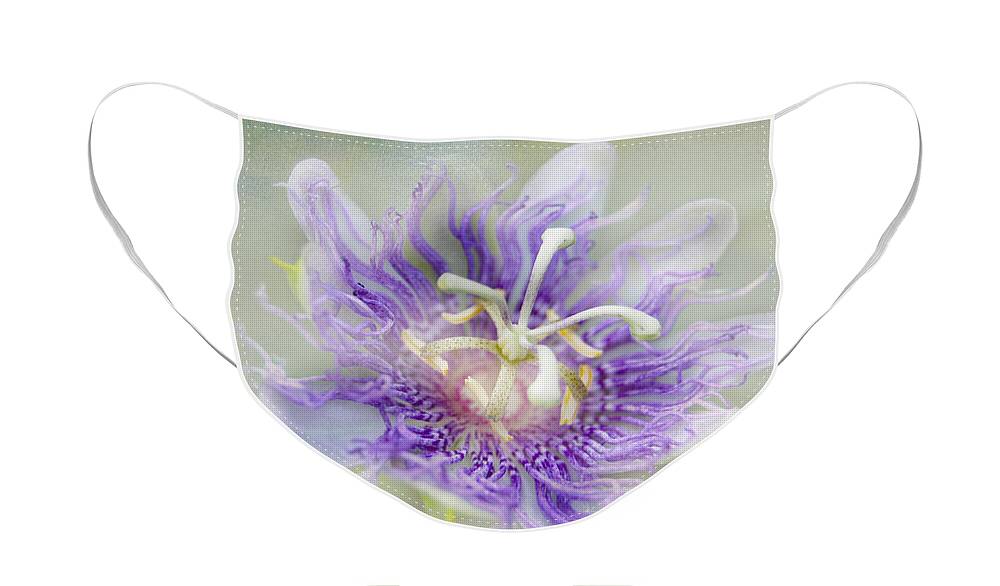 Passion Flower Face Mask featuring the photograph Passion Flower by Judy Hall-Folde