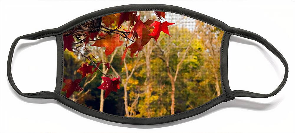 Autumn Face Mask featuring the photograph Pea Ridge Military Park by Lana Trussell