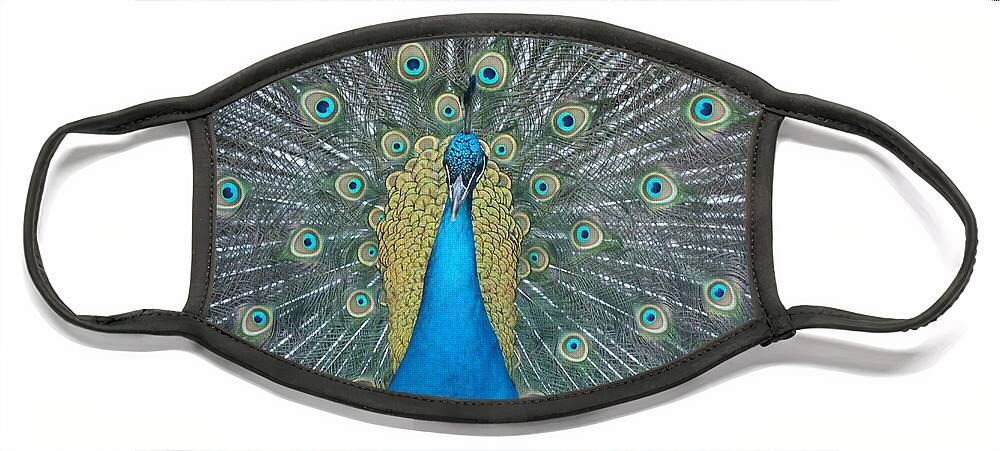 Peacock Face Mask featuring the photograph Peacock by Jennifer Craft