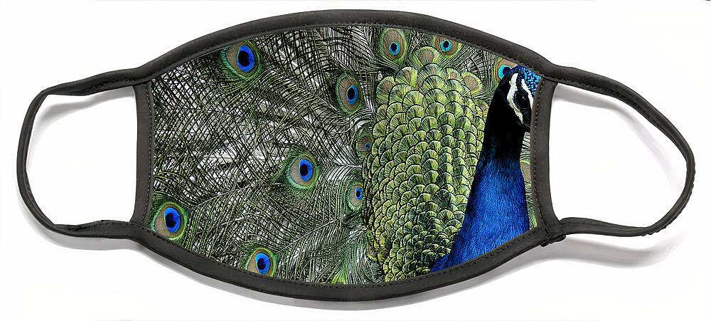 Peacock Face Mask featuring the photograph Peacock by Ron White