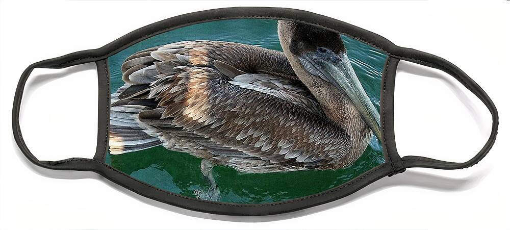 Pelican Face Mask featuring the photograph Pelican by Veronica Batterson