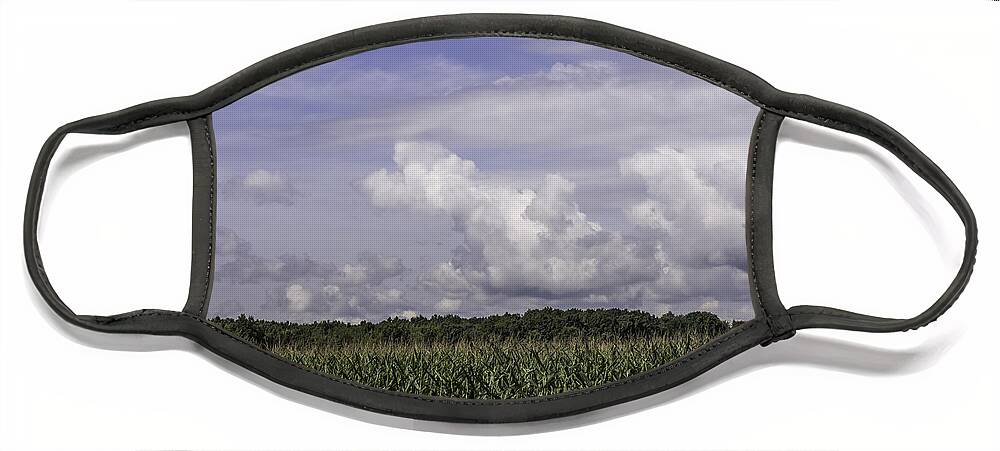 Corn Face Mask featuring the photograph Pennsylvania Cornfield by Weir Here And There