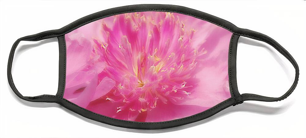 Macro Face Mask featuring the photograph Peony Dream by Peggy Franz