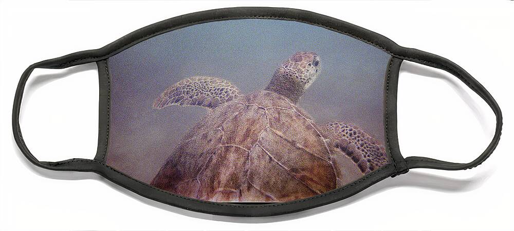 Turtle Face Mask featuring the photograph Persevere II by Weston Westmoreland