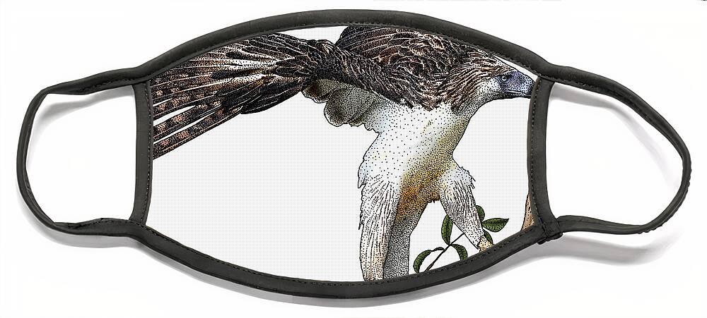 Philippine Eagle Face Mask featuring the photograph Philippine Eagle, Illustration by Roger Hall
