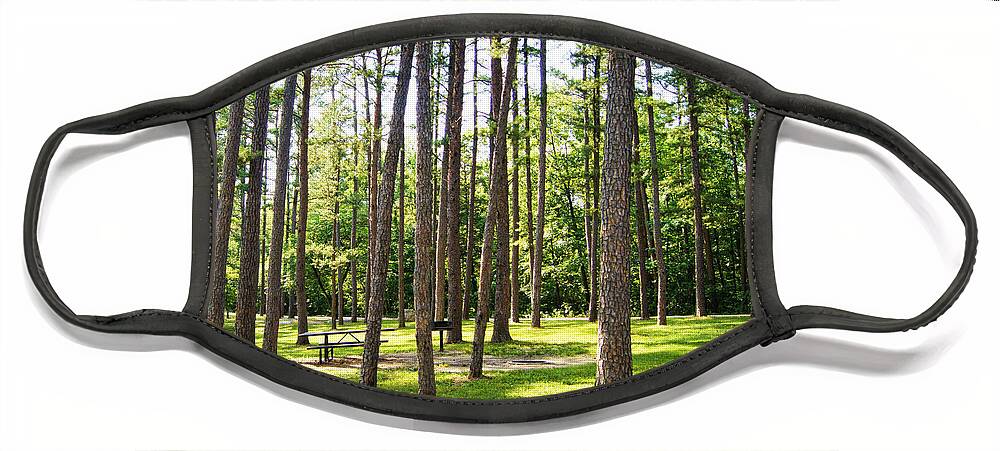 picnic In The Pines Face Mask featuring the photograph Picnic in the Pines by Cricket Hackmann