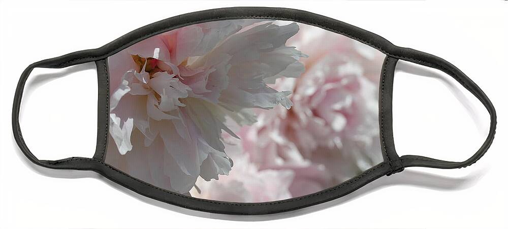 Peony Face Mask featuring the photograph Pink Confection by Ruth Kamenev
