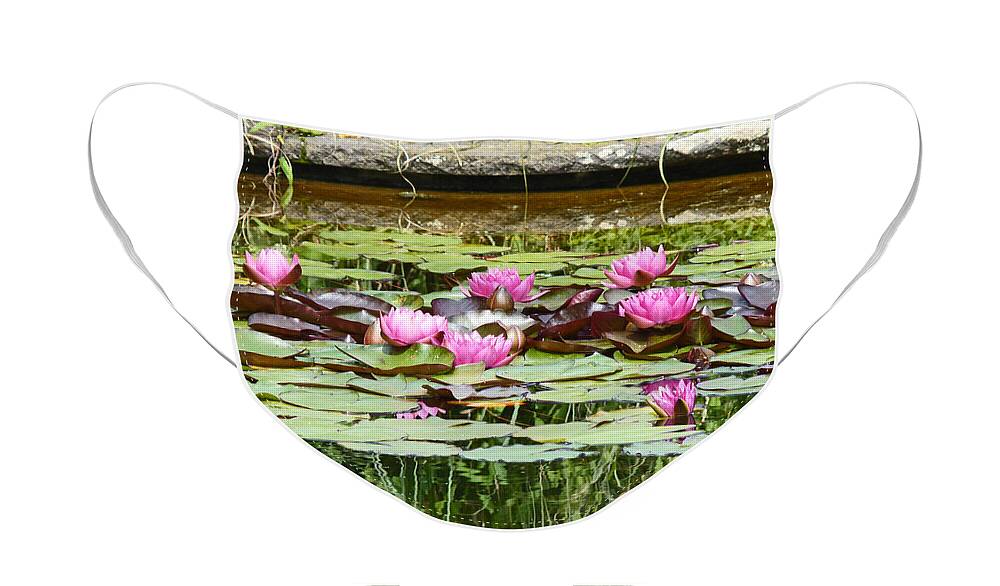 Water Lilies Face Mask featuring the photograph Pink water lilies by Eva-Maria Di Bella