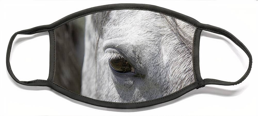 Powder Horn Face Mask featuring the photograph Ousted's Eye by Amanda Smith