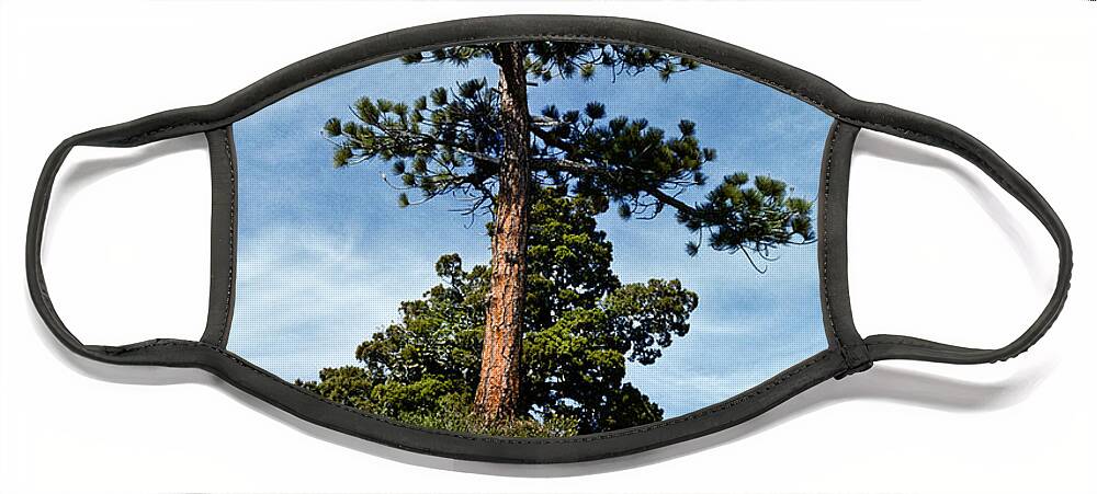 Beauty In Nature Face Mask featuring the photograph Ponderosa Pine and Granite Boulders by Jeff Goulden