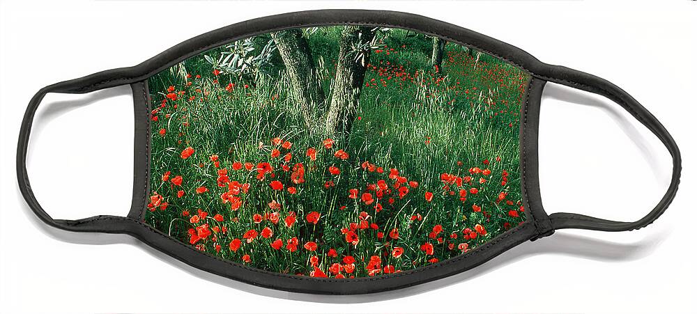 Alternative Medicine Face Mask featuring the photograph Poppies by James L. Amos