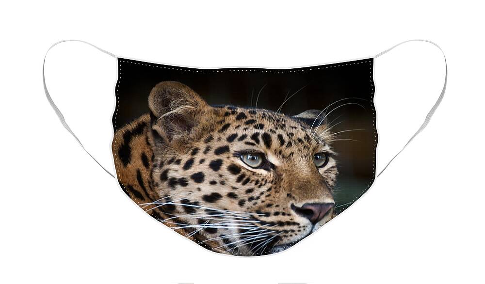 Marwell Face Mask featuring the photograph Portrait of a Leopard by Chris Boulton