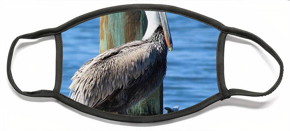 Animal Face Mask featuring the photograph Posing Pelican by Carol Groenen