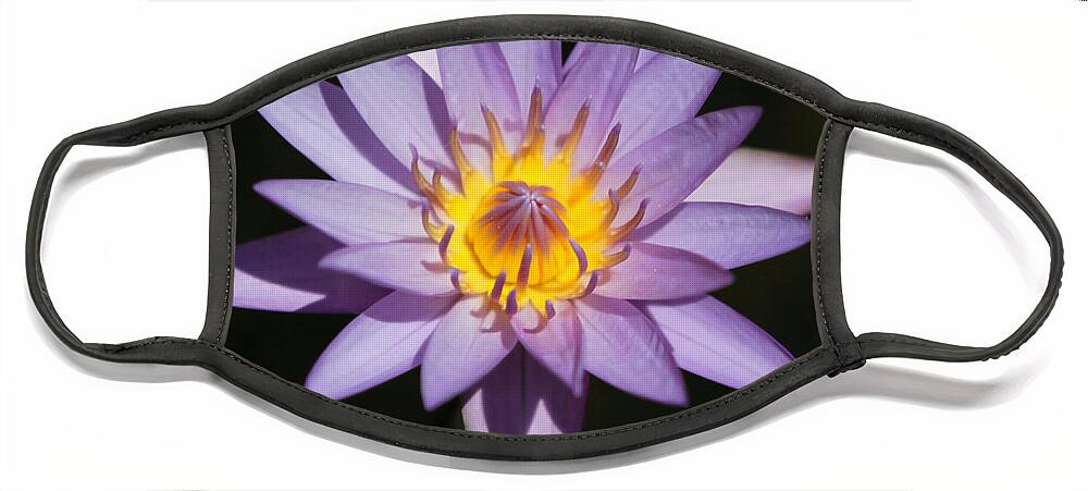 Art Face Mask featuring the photograph Pretty Purple Water Lily Squared by Sabrina L Ryan