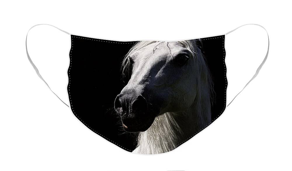 Proud Stallion Face Mask featuring the photograph Proud Stallion by Wes and Dotty Weber