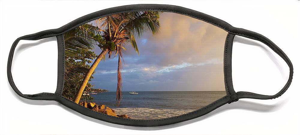 Sunset Face Mask featuring the photograph Puerto Rico Palm Lined Beach With Boat At Sunset by Jo Ann Tomaselli
