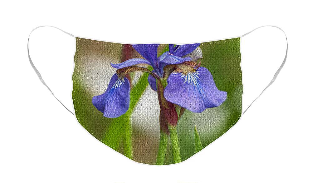 Bearded Iris Face Mask featuring the photograph Purple Bearded Iris Oil by Brenda Jacobs