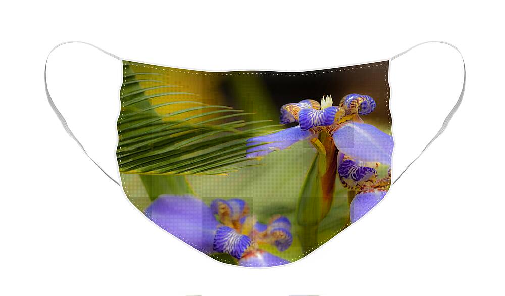 Flower Face Mask featuring the photograph Purple Iris No. 1 by Stephen Anderson