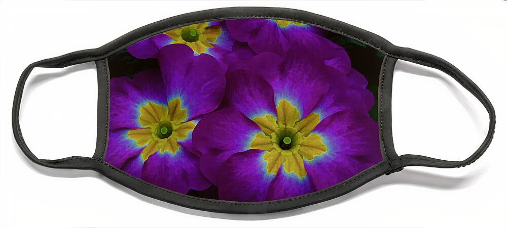Wall Decor Face Mask featuring the photograph Purple Primrose by Ron Roberts