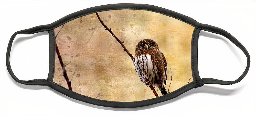 Owls Face Mask featuring the photograph Pygmy Owl - The Watcher by Peggy Collins