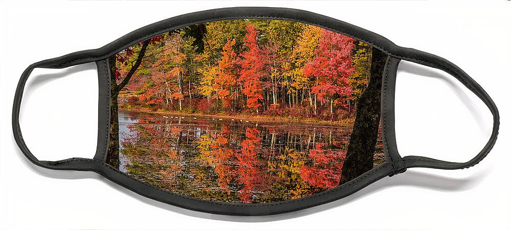 #foliage_reports Face Mask featuring the photograph Quabbin reservoir fall foliage by Jeff Folger