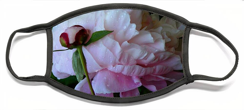 Peony Face Mask featuring the photograph Rain-soaked Peonies by Rona Black