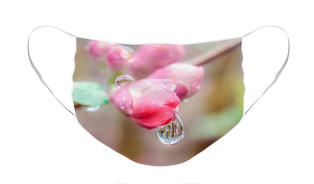  Water Drop On Flower Face Mask featuring the photograph Raindrops on Pink Beauty by Peggy Franz