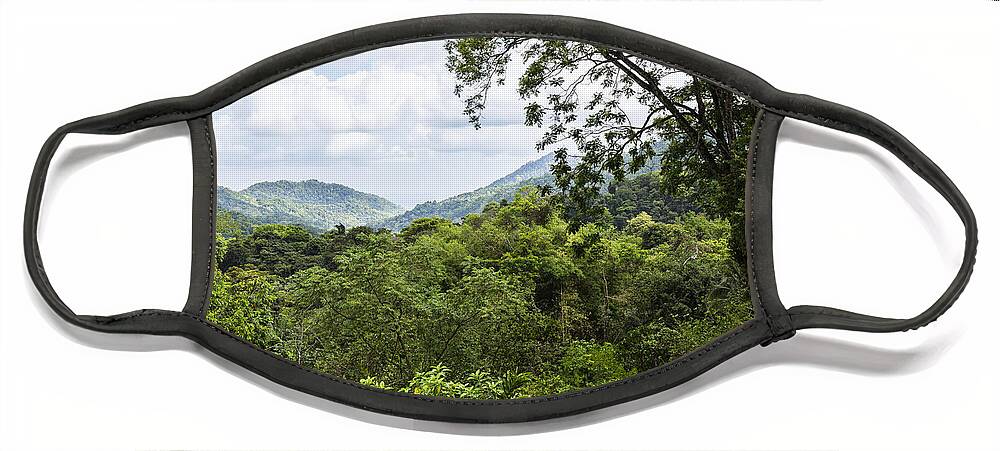 Konrad Wothe Face Mask featuring the photograph Rainforest Trinidad West Indies by Konrad Wothe
