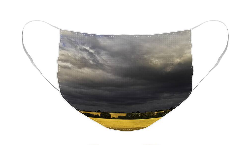 Rapefield Face Mask featuring the photograph Rapefield Under Dark Sky by Heiko Koehrer-Wagner