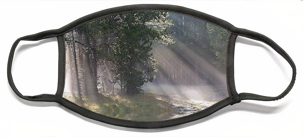 Light Face Mask featuring the photograph Rays of Light by Shane Bechler
