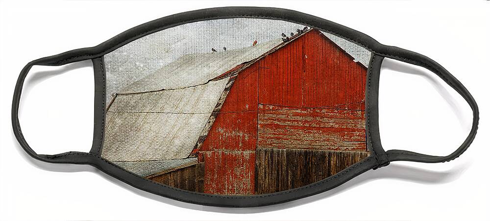 Barn Face Mask featuring the photograph Red Barn And First Snow by Theresa Tahara