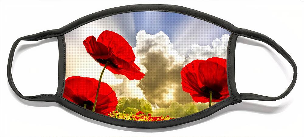 Appalachia Face Mask featuring the photograph Red Poppies by Debra and Dave Vanderlaan