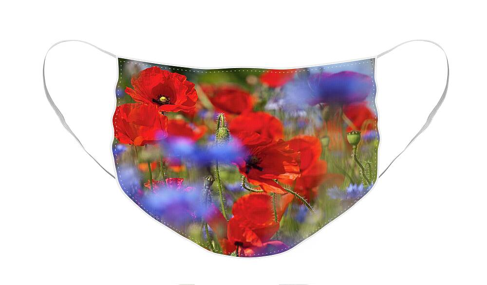 Poppy Face Mask featuring the photograph Red Poppies in the Maedow by Heiko Koehrer-Wagner