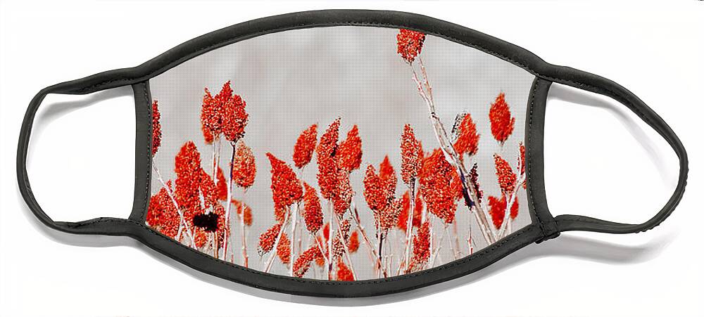 Dunns Marsh Face Mask featuring the photograph Red Winged Blackbird On Sumac by Steven Ralser