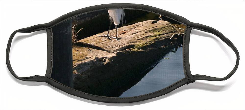 Egret Face Mask featuring the photograph Reflections of an Egret by Beth Collins