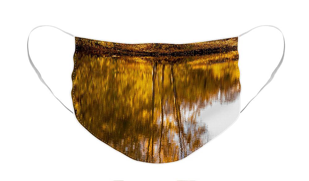 Autumn Face Mask featuring the photograph Reflections of Autumn by Mary Jo Allen