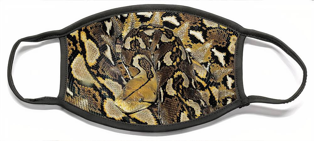 Reticulated Python Face Mask featuring the photograph Reticulated Python by Nature's Images
